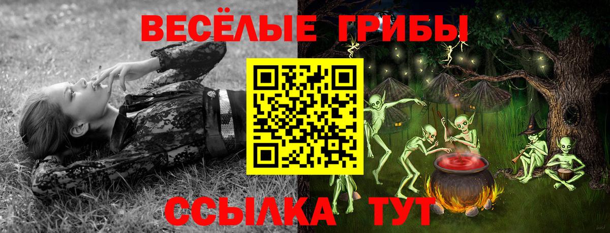 Сертолово  Галлюциногенные грибы ЛСД  купить наркотики сайты  Вход с VPN  Галлюциногенные грибы Psilocybine cubensis 